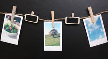 Load image into Gallery viewer, Wood Pinch Set - Small