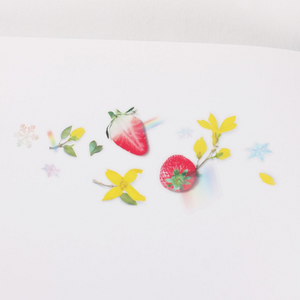 Fruit Sticker - Strawberry