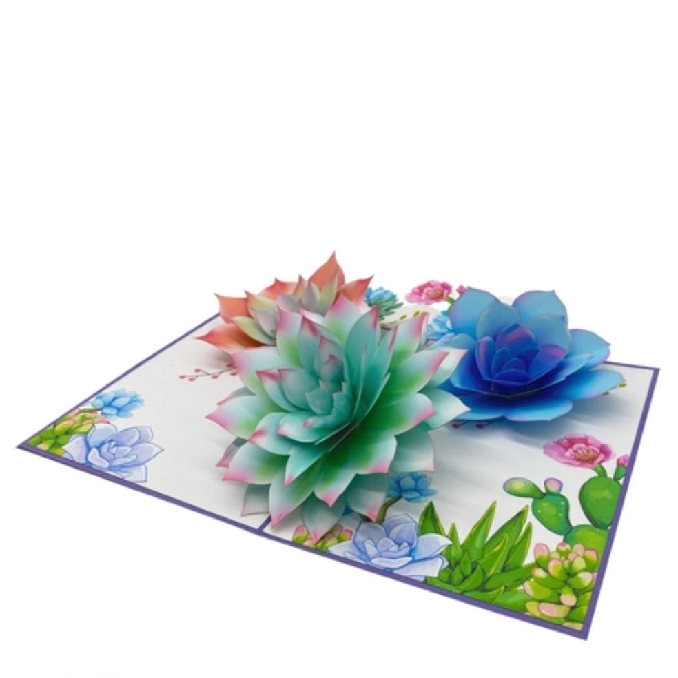 Succulents - Pop Up Card – Hanji Gifts