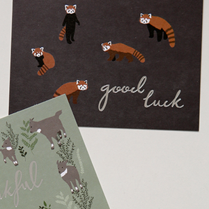 Message Card - Lesser Panda