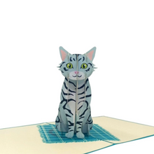 Load image into Gallery viewer, American Shorthair Cat - Pop Up Card