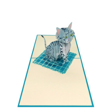 Load image into Gallery viewer, American Shorthair Cat - Pop Up Card