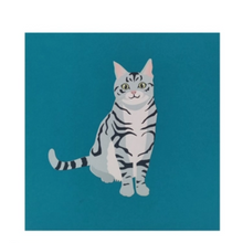 Load image into Gallery viewer, American Shorthair Cat - Pop Up Card