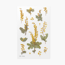 Load image into Gallery viewer, Pressed Flower Sticker - Mimosa