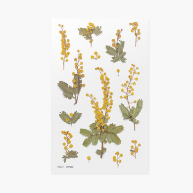 Pressed Flower Sticker - Mimosa