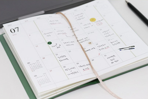 2025 Official Slim Dated Monthly Planner