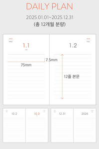 2025 Prism Dated Daily Diary