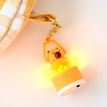 Load image into Gallery viewer, Mini Pochak Lantern Keyring