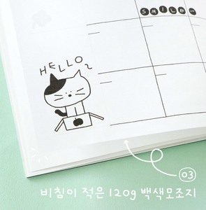 Doodle Monthly Iconic Planner (Undated)